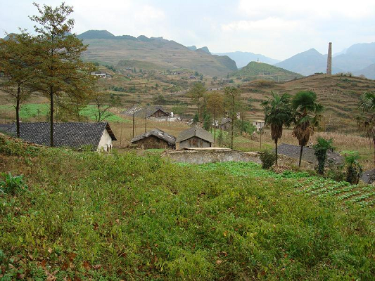 鳳棲村(雲南省昭通市鎮雄縣杉樹下轄村)