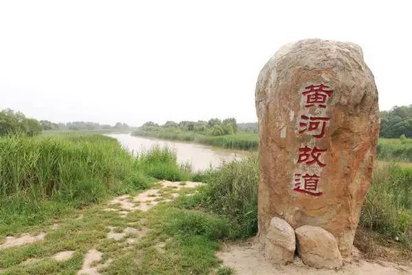 山東夏津黃河故道國家森林公園