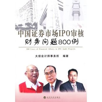 中國證券市場IPO審核財務問題800例(中國證券市場IPO審核財務問題800例（修訂版）)