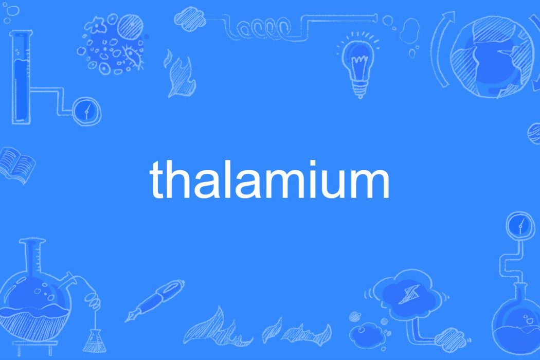 thalamium