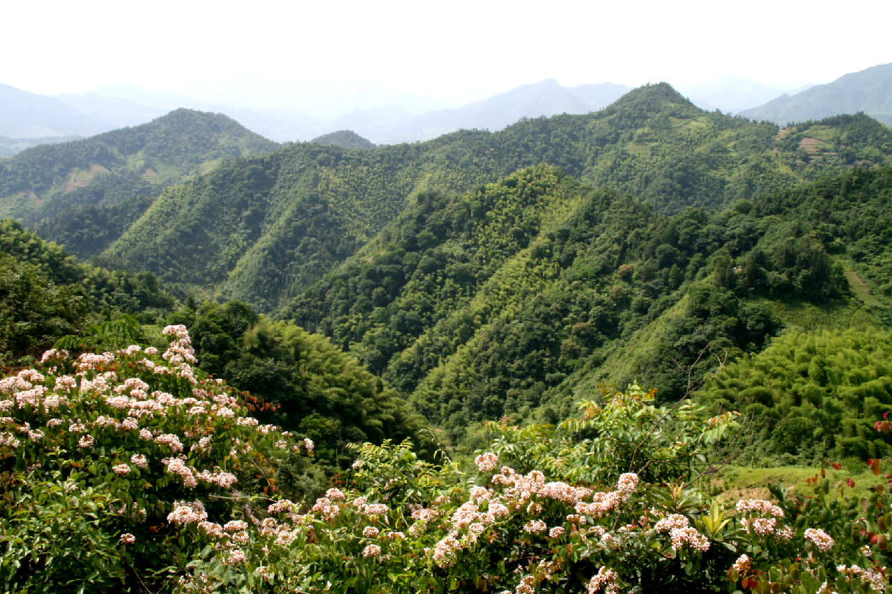 青山綠水