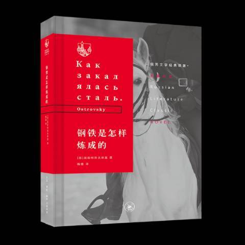 鋼鐵是怎樣煉成的(2018年生活·讀書·新知三聯書店出版的圖書)