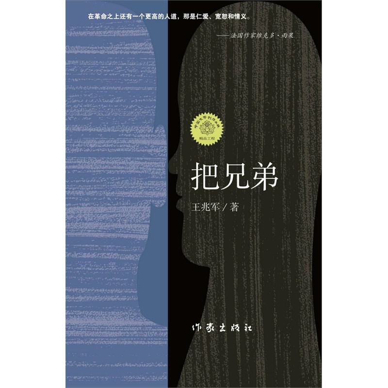 把兄弟(王兆軍所著小說)