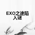 EXO之途陷入謎