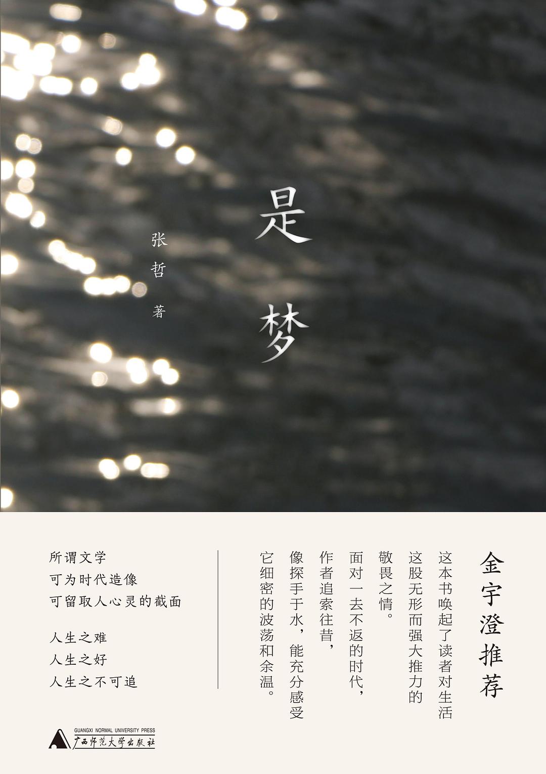 是夢(張哲著長篇小說)