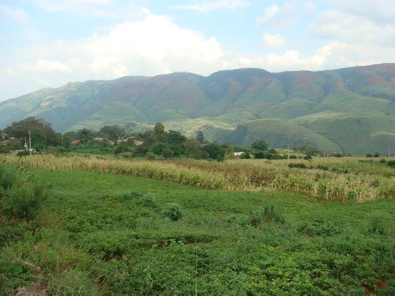 黑岔村-山地