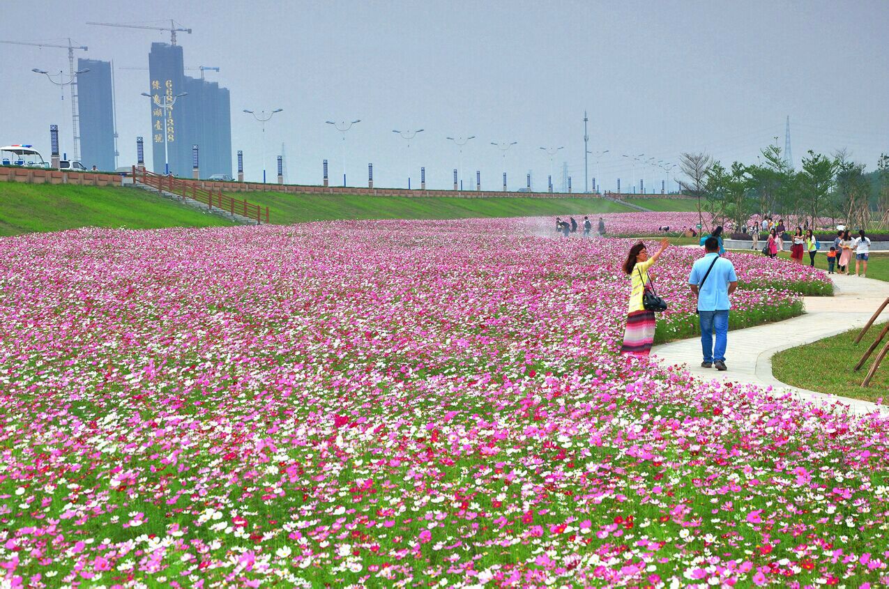 綠島湖濕地公園