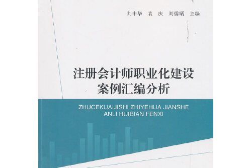 註冊會計師職業化建設案例彙編分析