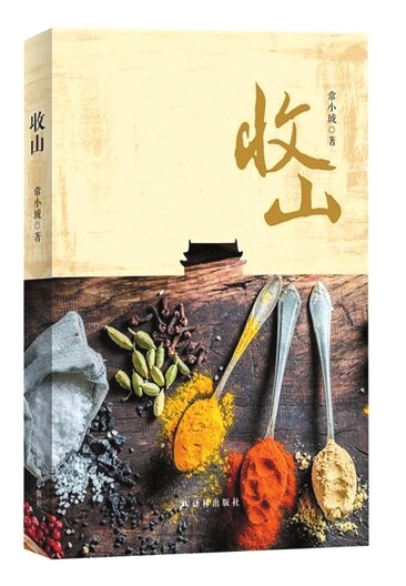 收山(常小琥所著小說)