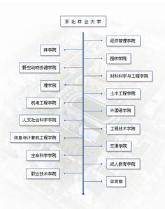 東北林業大學