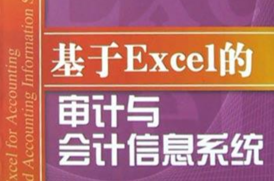 基於Excel的審計與會計信息系統