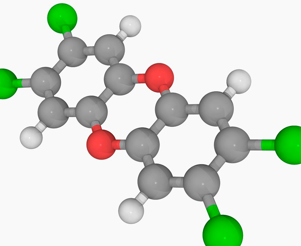 分子污染