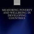 Measuring Poverty and Wellbeing in Developing Countries