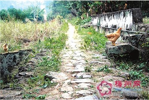 玉水村(雲南省麗江市永勝縣六德鄉下轄村)