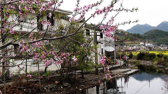 高湖山古道