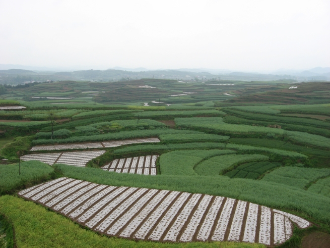 中和鄉(四川省大竹縣中和鄉)