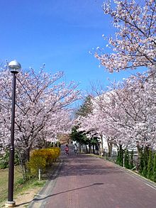 大阪府立大學(日本大阪府立大學)