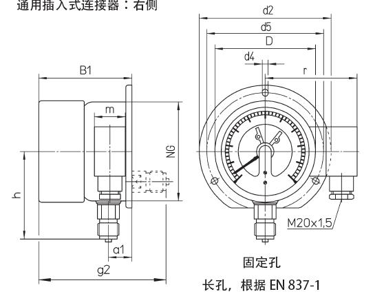 SF6氣體密度控制器底癌連線後置安裝法蘭