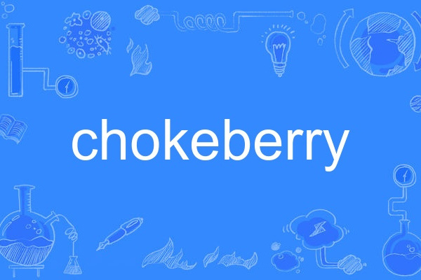 chokeberry