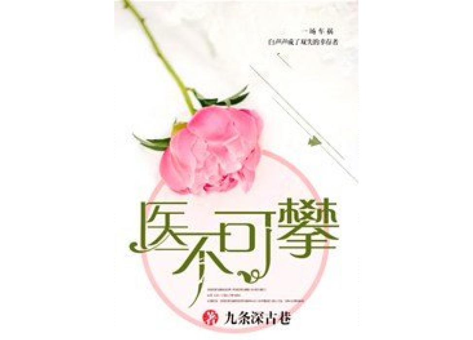 醫不可攀(九條深古巷所著小說)