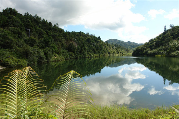 大浪壩森林公園