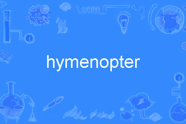 hymenopter