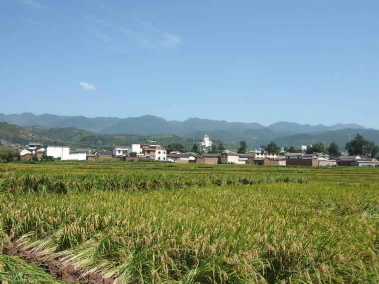 寶善村(雲南省巍山縣南詔鎮寶善村)