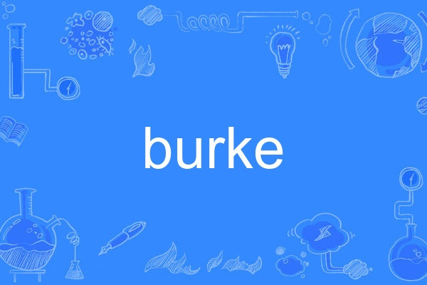 burke(英語單詞)