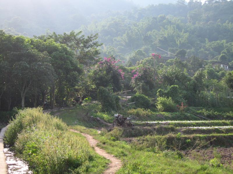 曼整高自然村