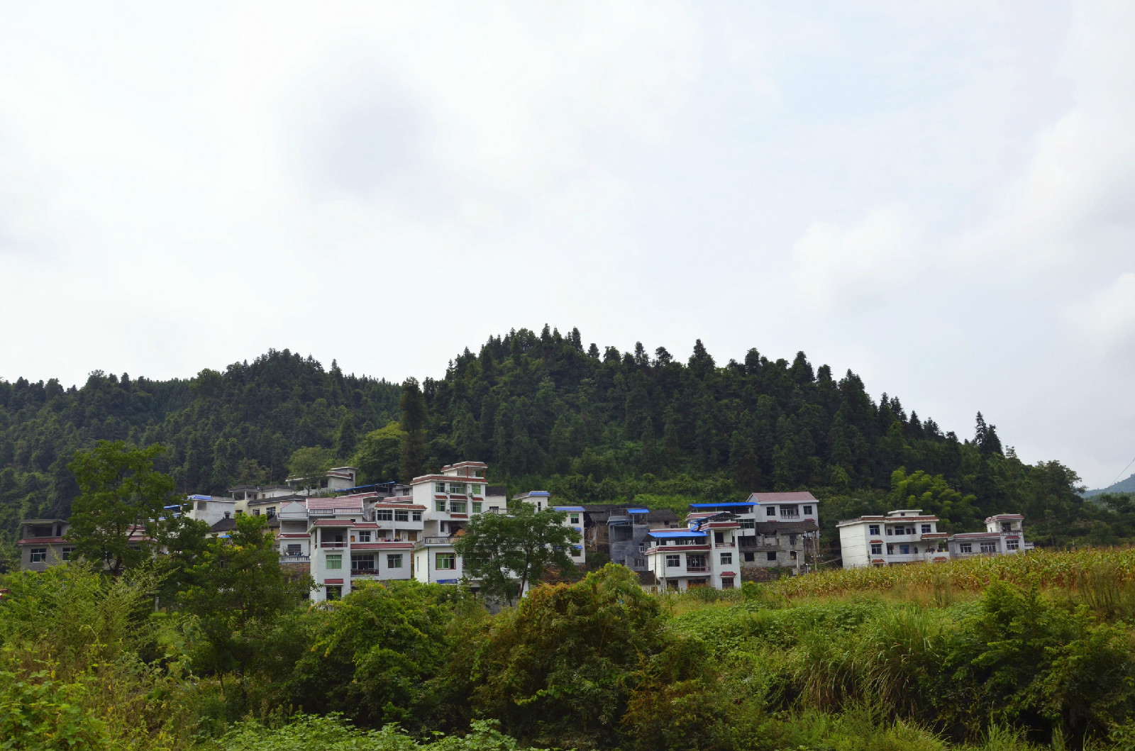 五林村(湖南省湘西州鳳凰縣水打田鄉下轄村)