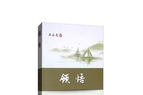 領悟(2019年冶金工業出版社出版的圖書)