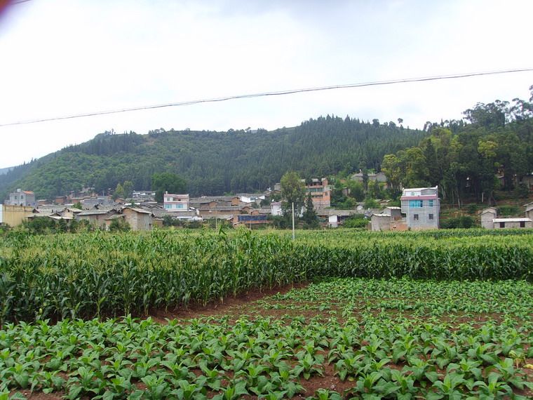 塘塘子村