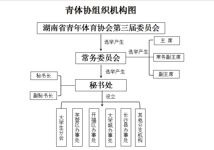 湖南省青年體育協會