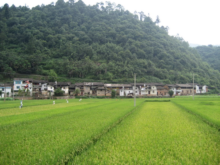 把者岱村