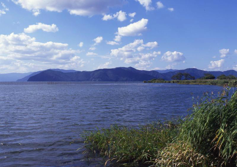 琵琶湖博物館