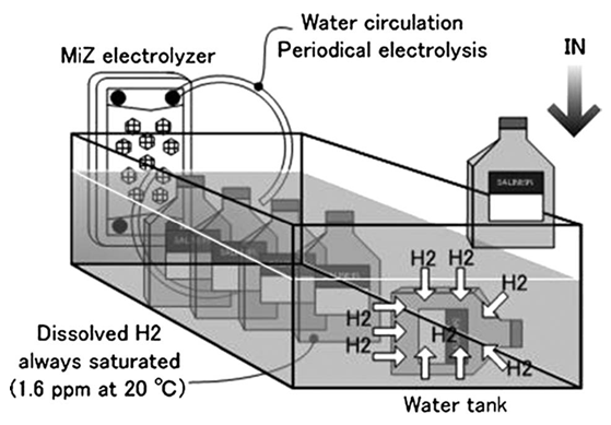 飽和氫氣水