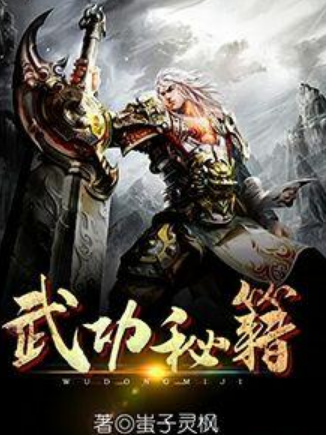 武功秘籍(蚩子靈楓創作的網路小說)