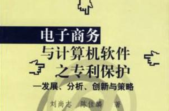 電子商務與計算機軟體之專利保護：發展分析創新與策略