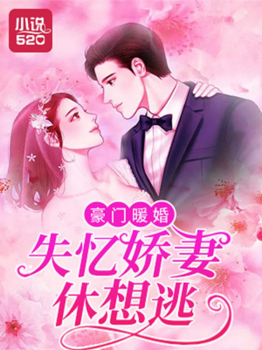 豪門暖婚：失憶嬌妻休想逃