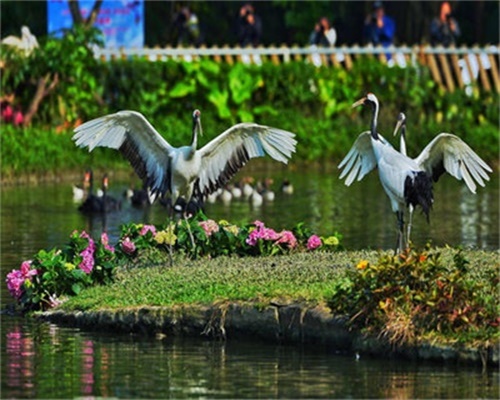 百鳥樂園(浙江會稽山旅遊度假區大禹陵景區景點)