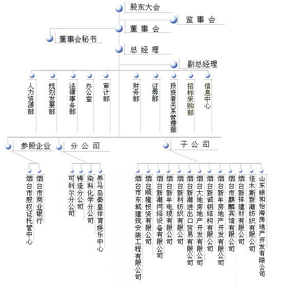 煙臺新潮實業股份有限公司