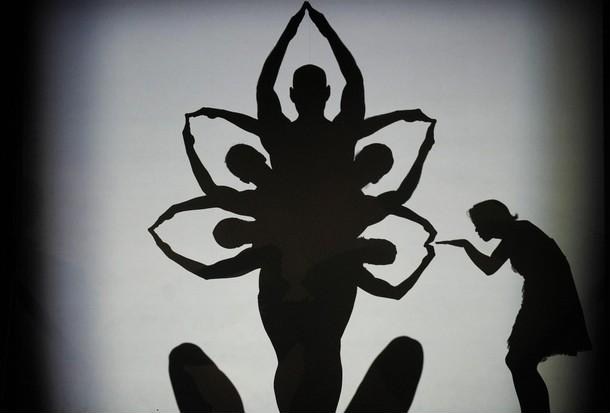 pilobolus