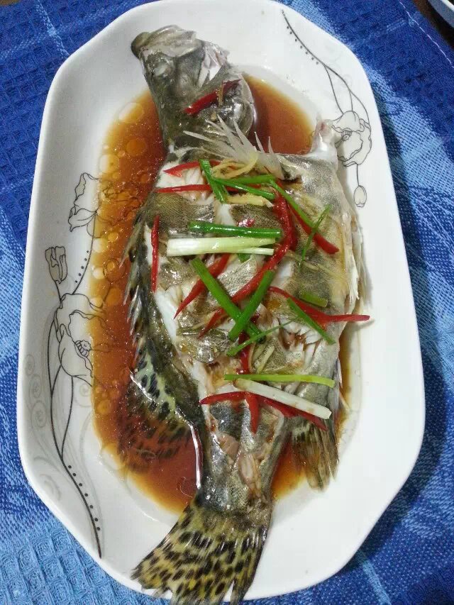 豉油蒸桂魚