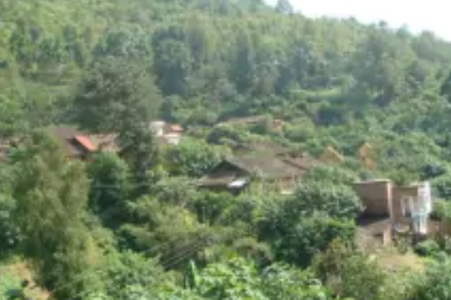 那郎村(雲南省文山市富寧縣新華鎮那郎村)