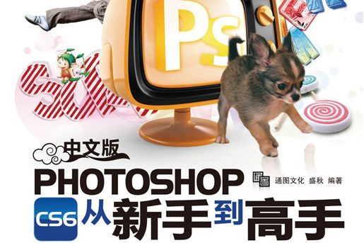 中文版Photoshop CS6從新手到高手