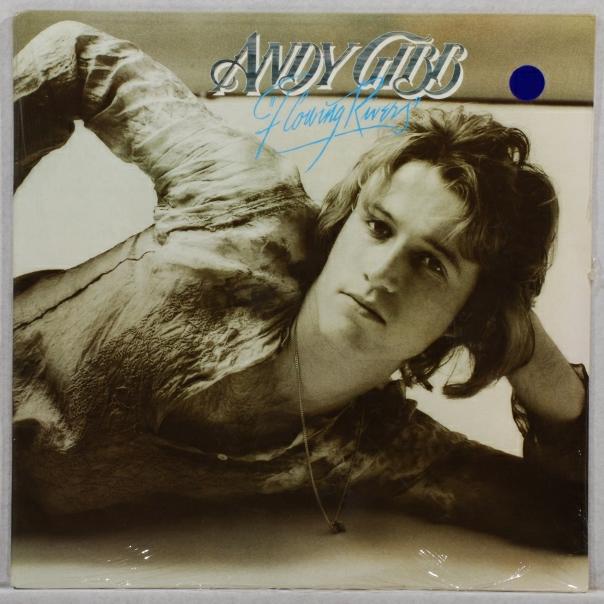 andy gibb