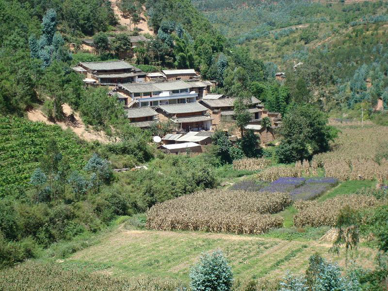 稗子田村(雲南姚安縣光祿鎮下轄村)