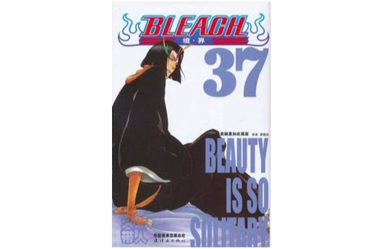 BLEACH 境·界37