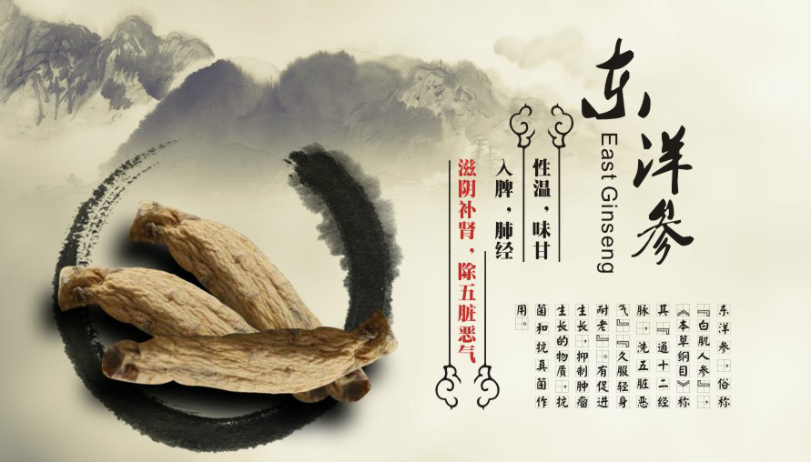 馬歇爾參茶