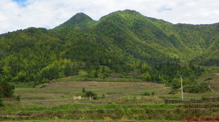 丘峰岩